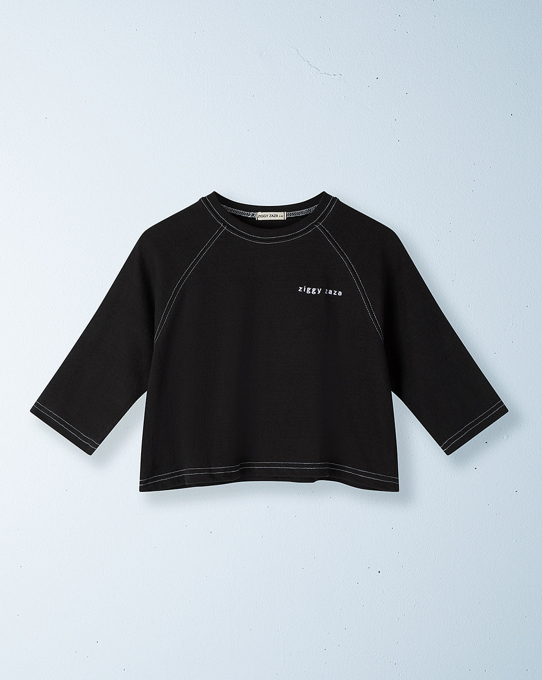 echo long sleeve tee | raven