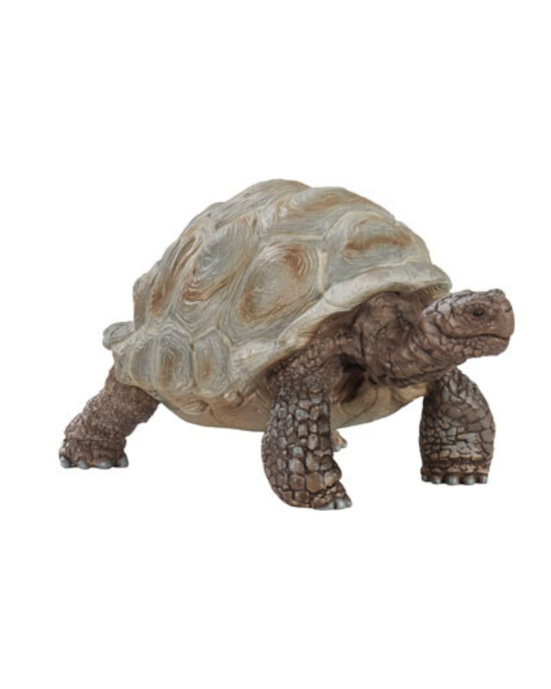 schleich animals | giant tortoise