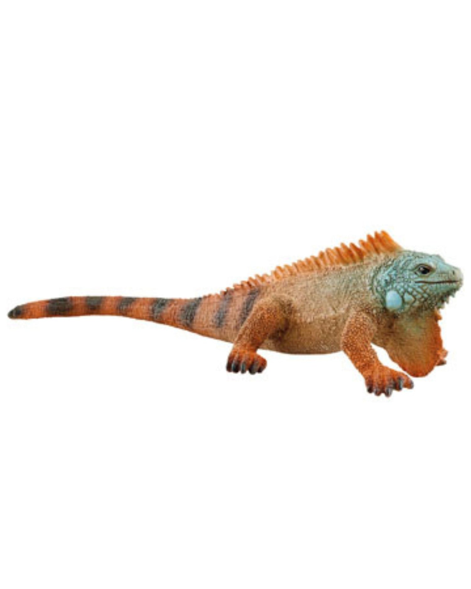 schleich animals | iguana